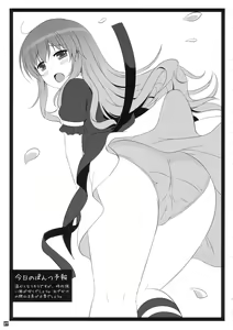 Page 26 of HEXIPRESS EX - preview thumbnail