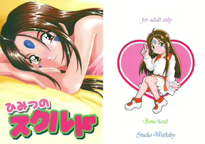 Himitsu no Skuld — hentai manga cover on Fhentai