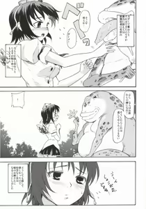 Page 6 of Touhou Ukiyo Emaki - Tanpen Sairokushuu 2005 - preview thumbnail