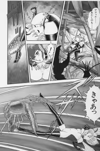 Page 67 of Bondage Fairies Vol. 2 - preview thumbnail
