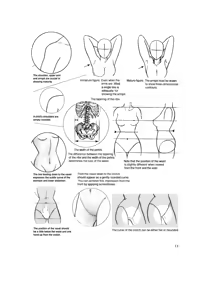 Page 10 of Hikaru Hayashi - Techniques For Drawing Female Manga Characters - preview thumbnail