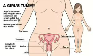 Page 14 of Our Bodies (How Children Are Made) -2nd Edition - preview thumbnail