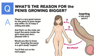 Page 6 of Our Bodies (How Children Are Made) -2nd Edition - preview thumbnail