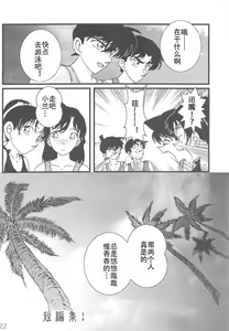 Page 21 of CHU-MIX - preview thumbnail