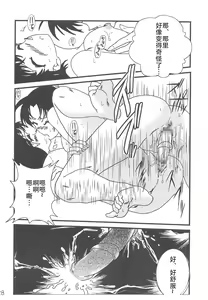 Page 27 of CHU-MIX - preview thumbnail