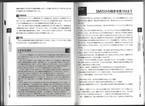 Page 13 of Karada mo Kokoro mo Boku no Mono ~ Hajimete no SM Guide ~ - preview thumbnail