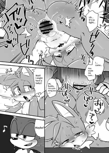 Page 13 of Tails and Sonic's special Fuss - preview thumbnail