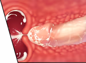 Page 1763 of Study § Steady 2 - preview thumbnail