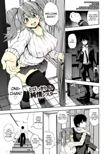Tobikkiri Junjou Sister — hentai manga cover on Fhentai