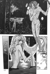 Page 12 of Burgess no Otome-tachi -Dinomiscus no Shou- - preview thumbnail