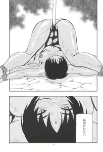 Page 31 of CELVARG3 - preview thumbnail