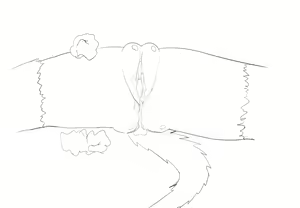 Page 768 of Villnammellet v1.1 - preview thumbnail
