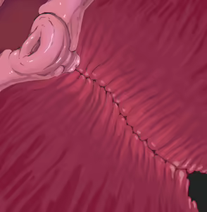 Page 9 of Shikimi x Desukarn - Shauntal x Cofagrig - preview thumbnail