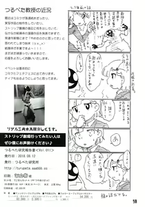 Page 58 of Tsurupeta Kenkyuu Houkokusho 011 - preview thumbnail