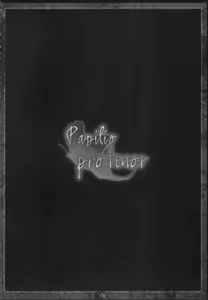 Page 5 of Papilio protenor - preview thumbnail