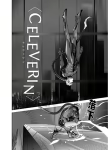 Page 6 of <CELEVERIN> - preview thumbnail