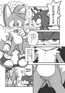 Page 2 of Tails and Sonic's special Fuss - preview thumbnail