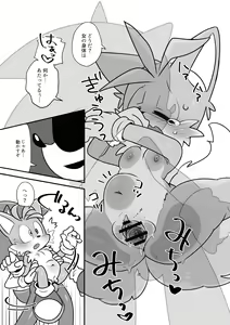 Page 10 of Tails and Sonic's special Fuss - preview thumbnail