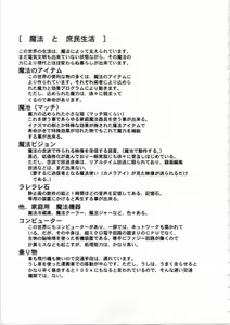 Page 30 of Kichikuou Rance First Press Release Book - preview thumbnail