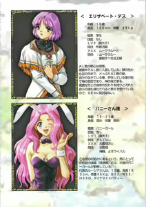 Page 95 of Kichikuou Rance First Press Release Book - preview thumbnail