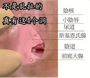 Page 19 of 茵蒂克丝告诉你身上有哪15个洞能插(不是眼耳鼻)，顺便闻香香的脚臭腋臭 - preview thumbnail
