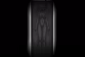 Page 287 of Swan Song Of the White Angels - preview thumbnail