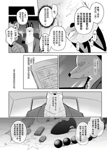 Page 13 of Gu - preview thumbnail