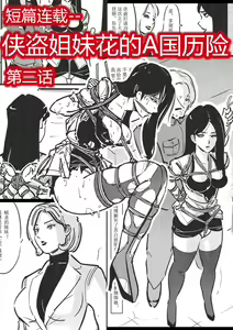 侠盗姐妹花的A国历险2 — hentai manga cover on Fhentai