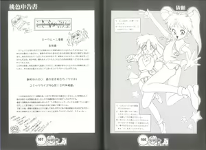 Page 55 of 桃色申告書 ver.MILLENNIUM FALCON - preview thumbnail