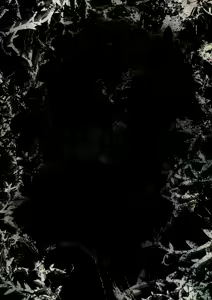 Page 59 of Other Zone next.01-06 - preview thumbnail