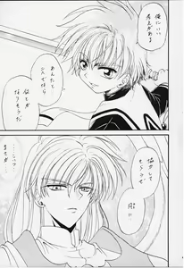 Page 21 of Stale World XI Card Captor Sakura Vol 5 - preview thumbnail