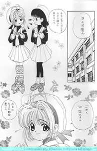 Page 20 of Sakura Sakura R - preview thumbnail