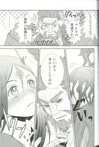 Page 21 of Accel zero Re order - preview thumbnail