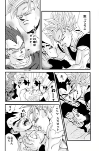 Page 13 of Dragonball Fan Book SPECIAL - preview thumbnail