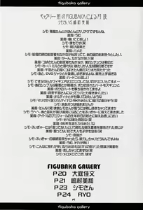 Page 17 of Figubaka - preview thumbnail