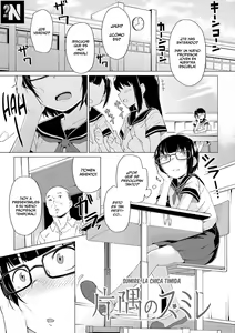 Katasumi no Sumire | Sumire la Chica Tímida — hentai manga cover on Fhentai