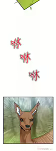 Page 448 of King of hypnotist in Isekai (01-52)-chinese - preview thumbnail