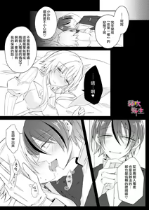 Page 19 of Dekiai Kei Yandere Kyoudai Ouji wa Itoshi no Shinkan Mazoku Ochi Sasetai | 溺愛係病嬌王子兄弟想讓心愛的神官墮落成魔族 - preview thumbnail