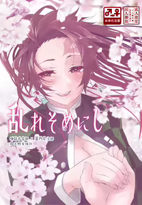Midare Some Nishi — hentai manga cover on Fhentai