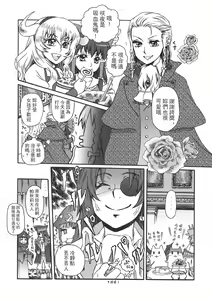 Page 116 of Touhou Kouginmu 2 | 東方紅銀夢2 - preview thumbnail
