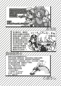 Page 18 of Touhou Kouginmu 2 | 東方紅銀夢2 - preview thumbnail