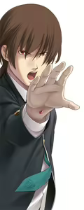 Page 339 of Evolimit - preview thumbnail