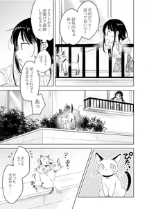 Page 7 of Neko wa Ongaeshi nado Shinai. - preview thumbnail