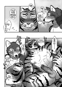 Page 26 of Ookami Sensei Tora Tousan | 늑대 선생님과 호랑이 아빠 - preview thumbnail