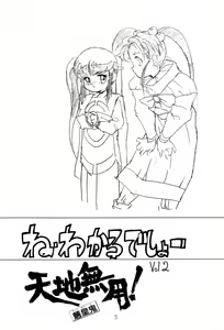 Page 3 of Ne Wakkaru Deshou Vol.2 bis - preview thumbnail