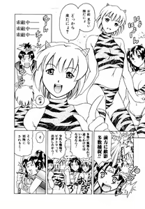 Page 22 of Hatsu Date Kouryaku Hou - Capture guide for the first date. - preview thumbnail