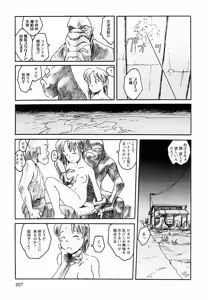 Page 207 of Proxima 1.3 - preview thumbnail
