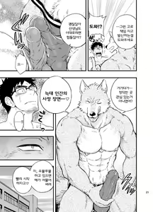 Page 22 of Ookami-kun no Yasei no Jijou | 오오카미 군의 야성의 사정 - preview thumbnail