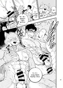 Page 48 of Ookami-kun no Yasei no Jijou | 오오카미 군의 야성의 사정 - preview thumbnail