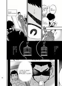 Page 47 of cage | 케이지 - preview thumbnail